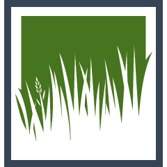 Sod Installation
