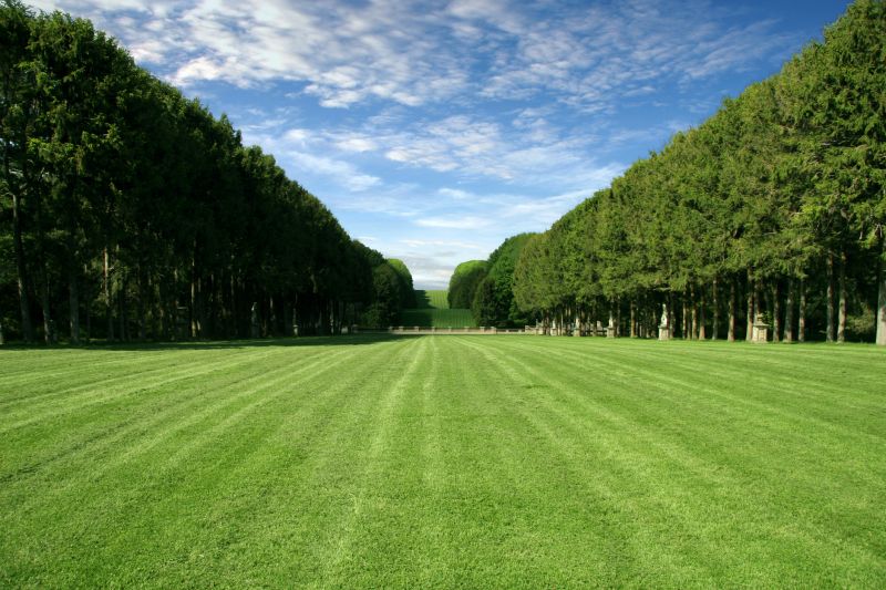 Lawn Installation in Rockwall, TX