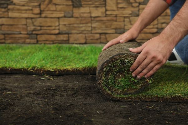 Sod Landscaping Service
