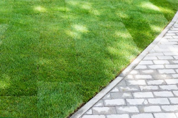 New Lawn Installation Service