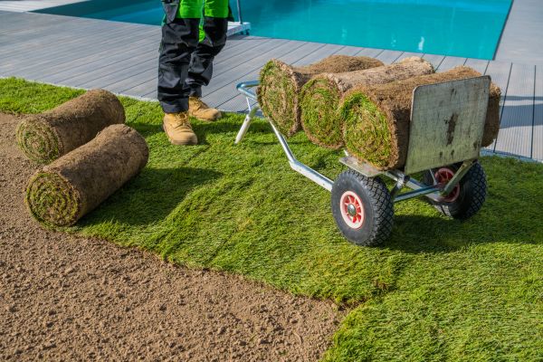 Centipede Sod Installation Service