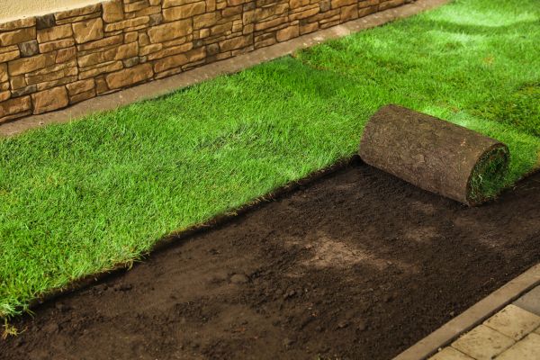 Lawn Sodding Service