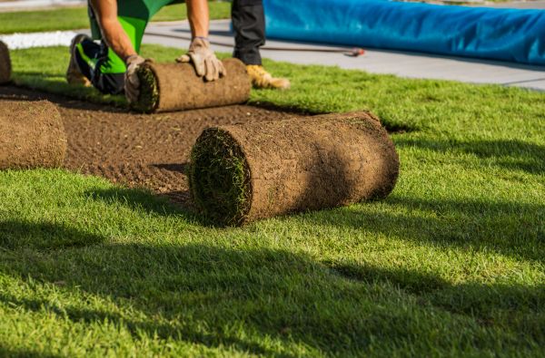 Zoysia Sod Installation Service