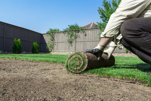 Residential Sod Installation Service