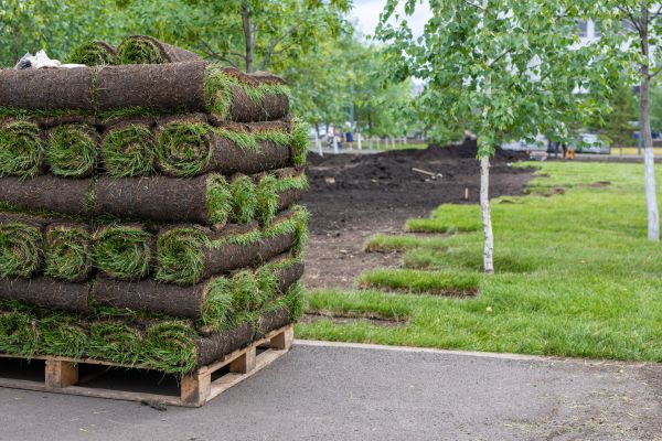 New Grass Installation Service