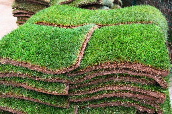 Green Sod Installation