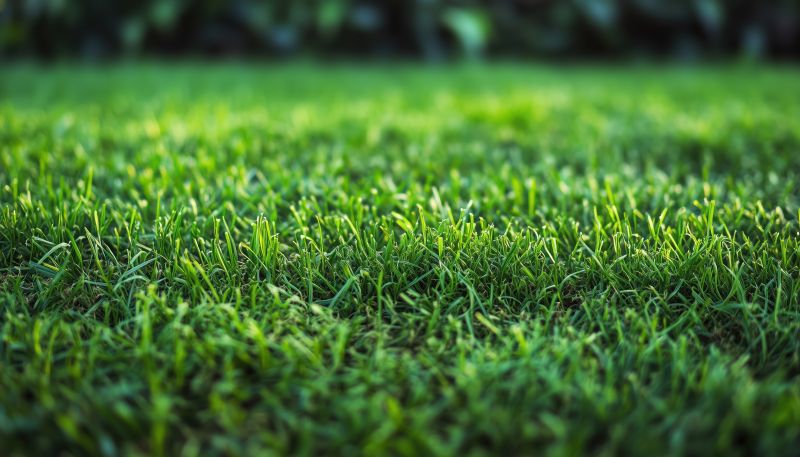 Commercial Sod Installation in Honolulu, HI