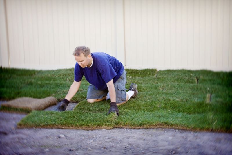 Grass Installation in Ventura County, CA