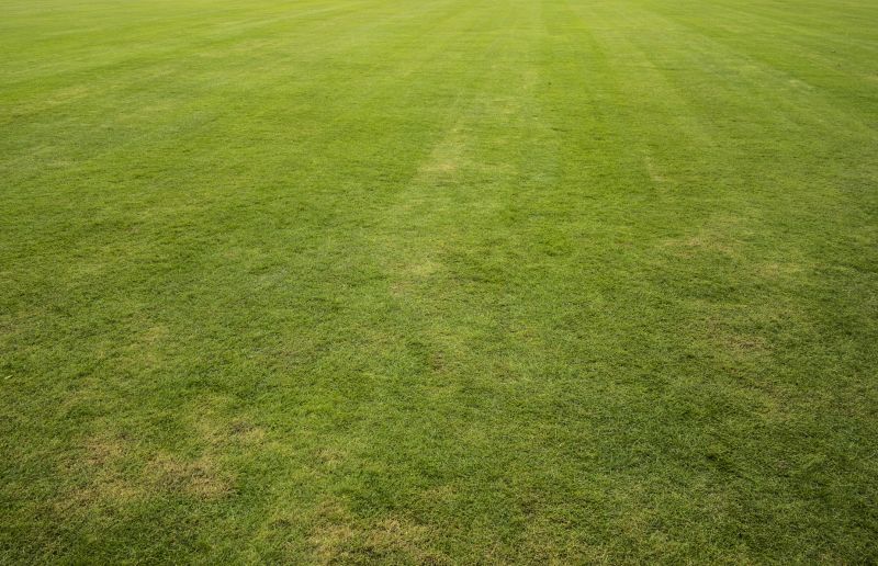 Lawn Installation in Aiken, SC