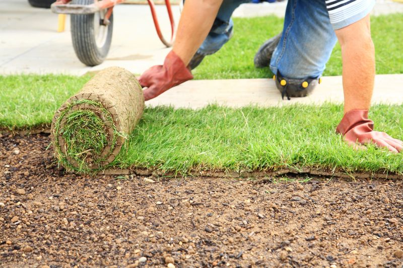 Ryegrass Sod Installation in Ventura County, CA