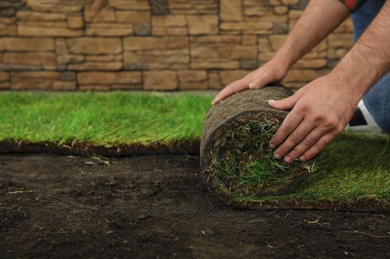 Sod Installation in Honolulu, HI