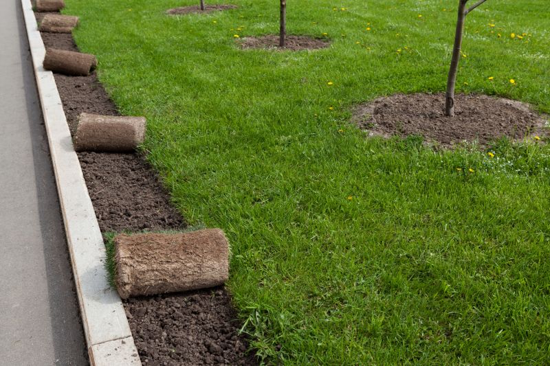 Lawn Edging