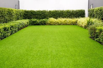 Lawn with Mature Sod