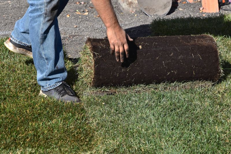 Sod Replacement in Rockwall, TX