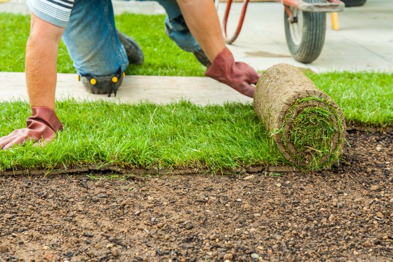 Sod Replacement in Aiken, SC