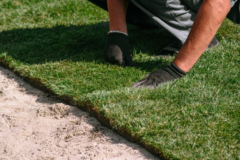 Turfing Service in Aiken, SC