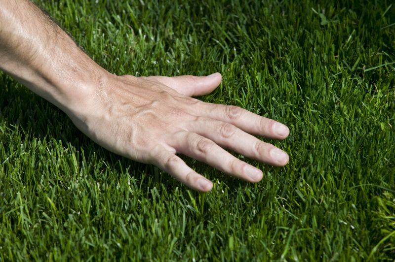 Turfing Service in Aiken, SC
