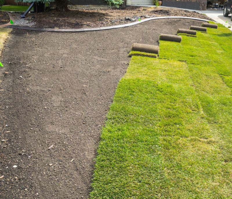 Why Sod Installation Is The Fastest Way To A Green Lawn