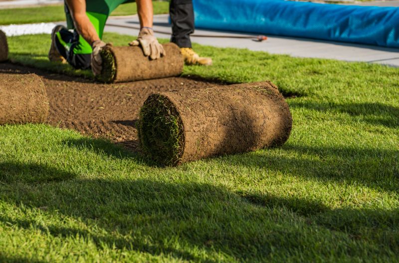 Yard Sodding in Rockwall, TX